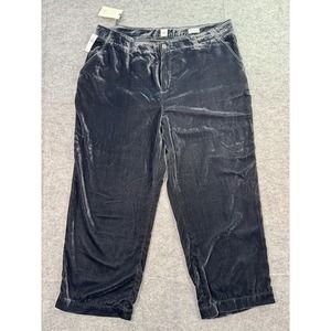 NWT Gap Women's 16‎ Gray/Blue Velvet Flat Front chino Pant